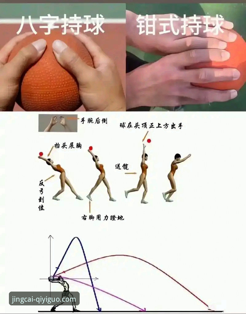 奇异果体育赛事分析实战操作教程：从新手到高手的完整指南